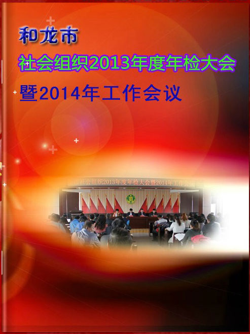 和龙市社会组织2013年度年检大会